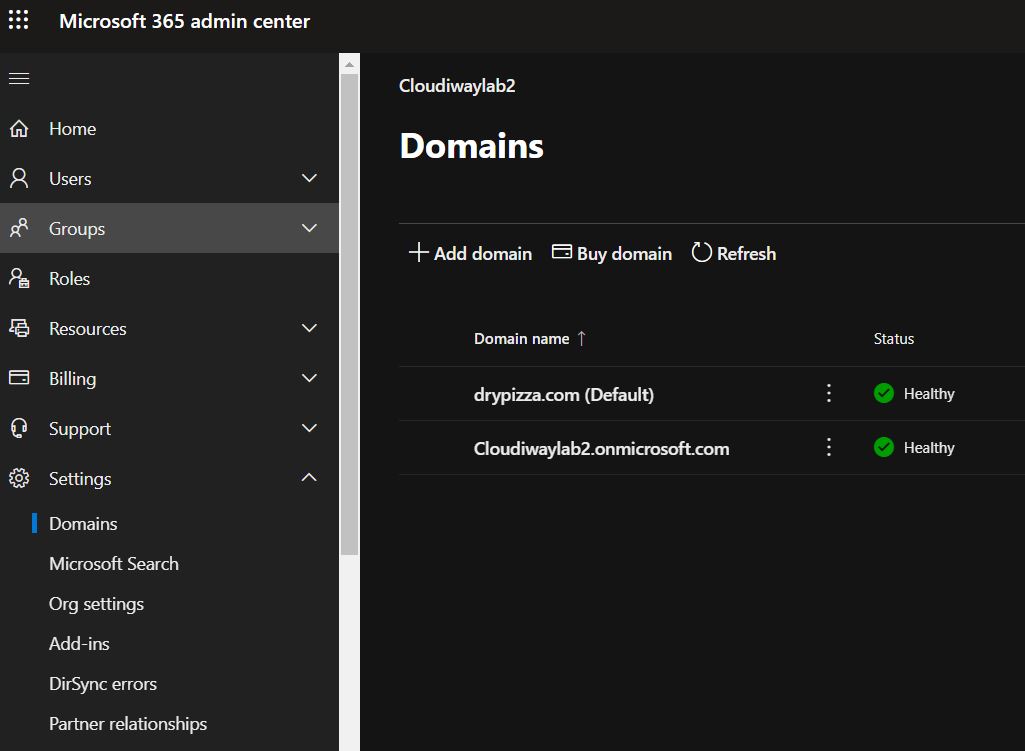 Default Domain Name In Office 365